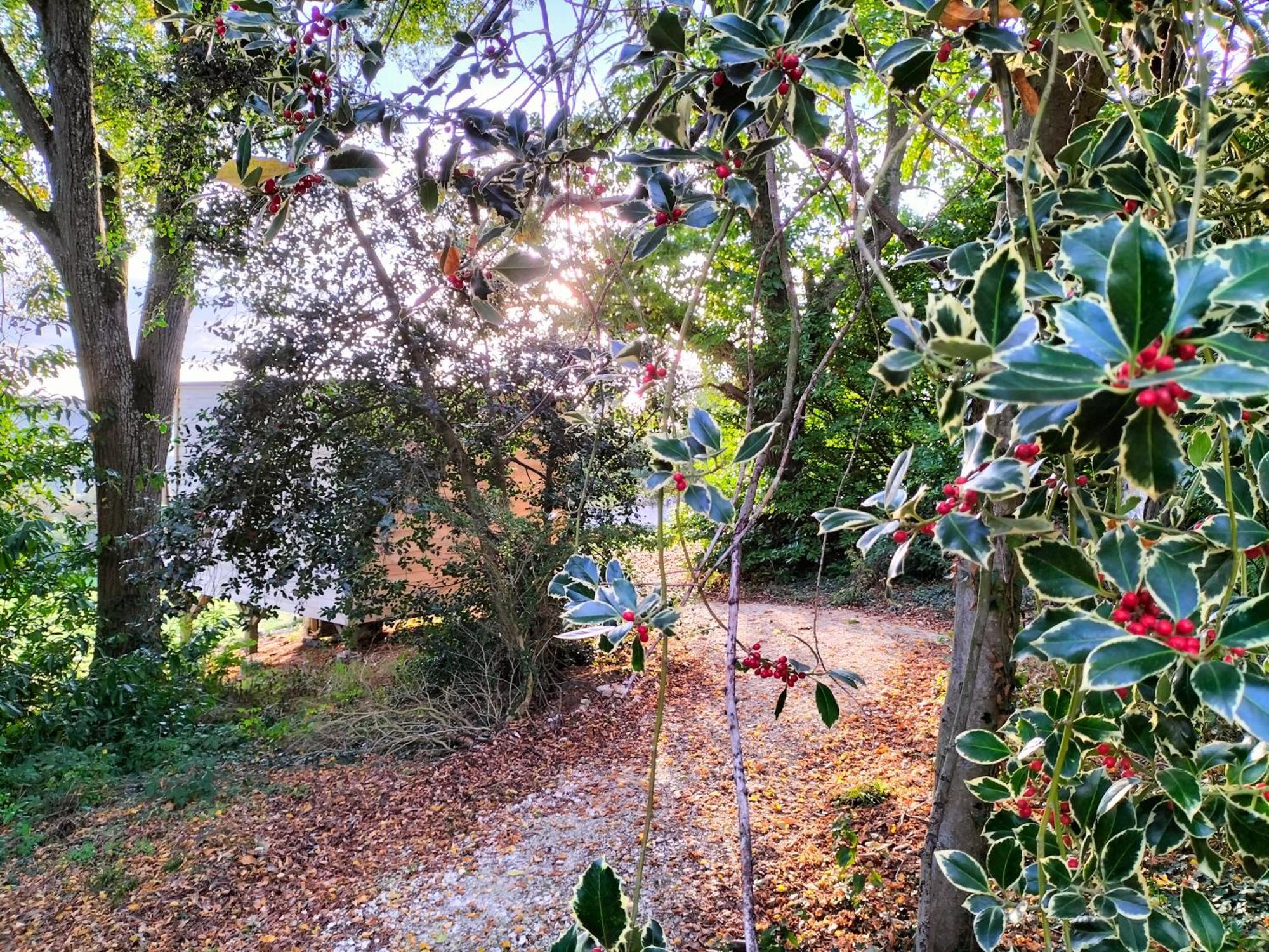 Demeure De La Garenne Bed & Breakfast Montmirail  Eksteriør bilde